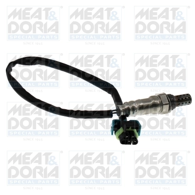 Oxygen Sensor